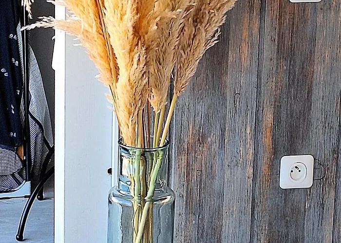 Semesterbostad A Seulement 150M Plage Et Rue Pietonne, Maison 90M2, 6 Personnes Avec Parking Prive Et 2 Terrasses Sud Saint-Jean-de-Monts